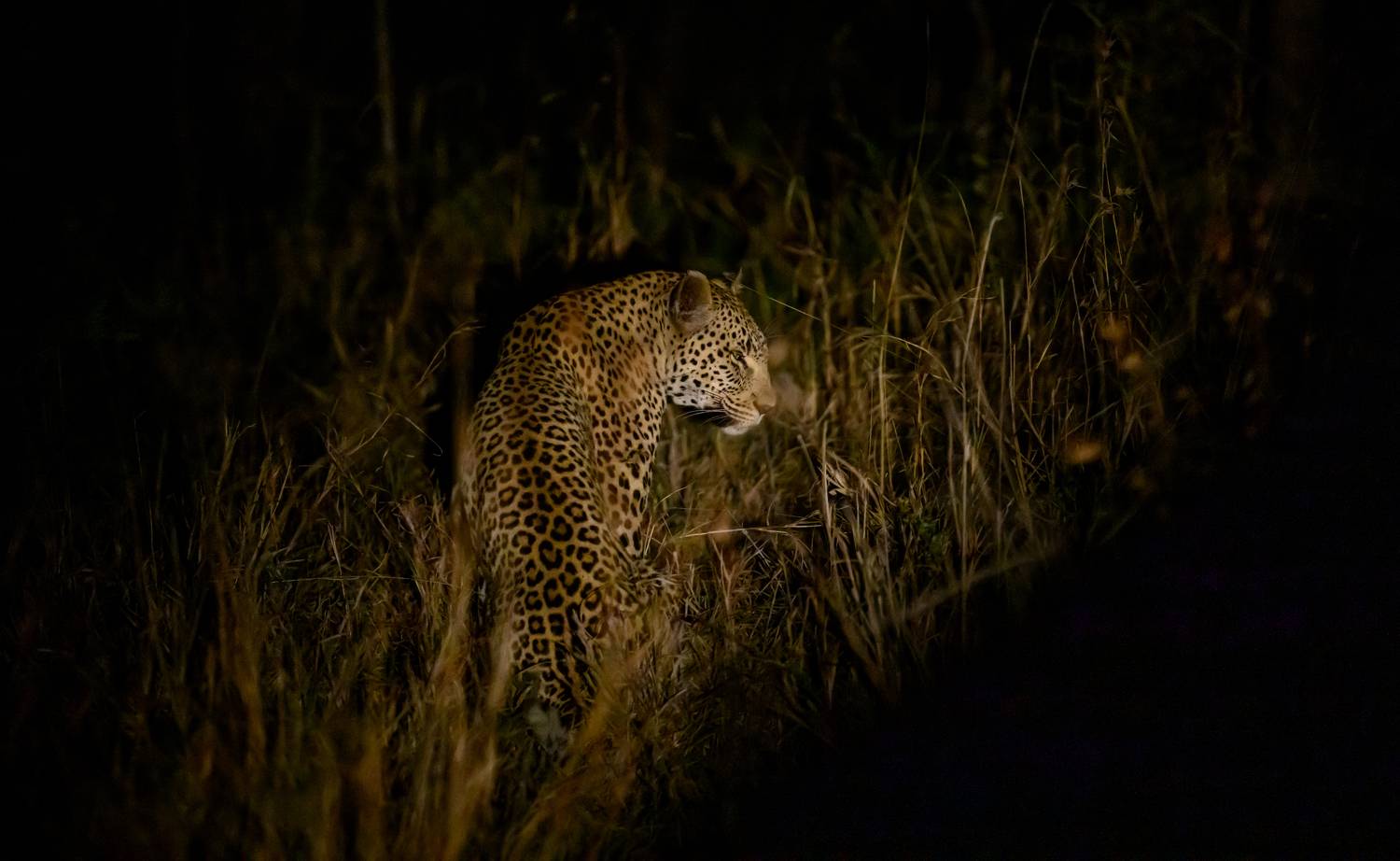 , Пупонин Сергей