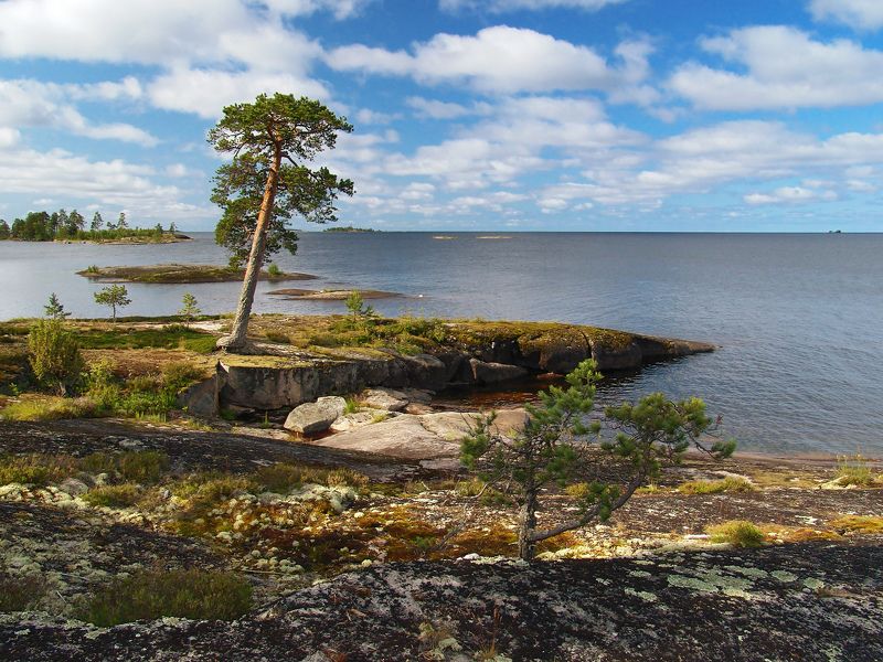 онего, карелия На острове фото превью