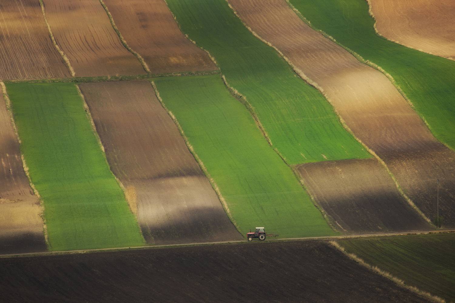 Horizontal, Photography, Agricultural, Agriculture, Nature,  Day, Farm, Green, Field, Rural, Landscape, Tractor, Ponidzie, Poland, Damian Cyfka