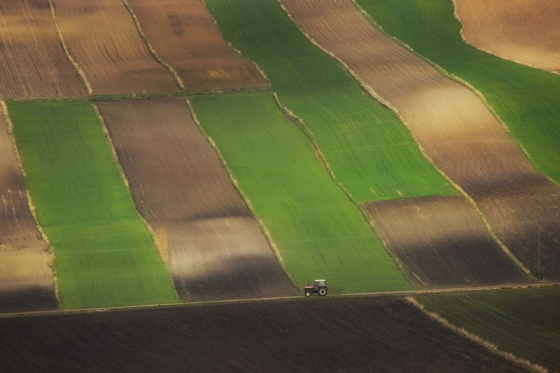 Fields фото превью