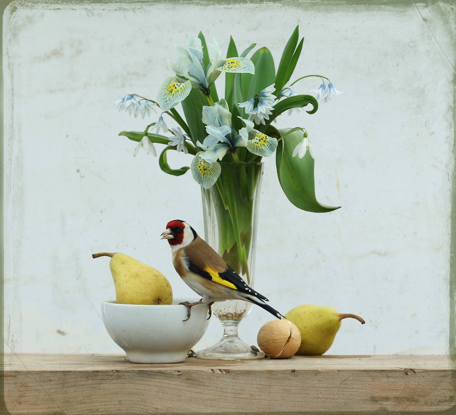 щегол, Хромушин Олег