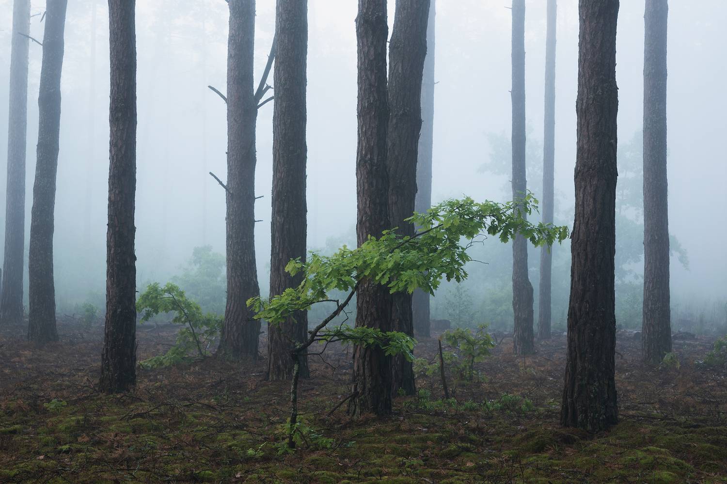 , Захаров Дмитрий