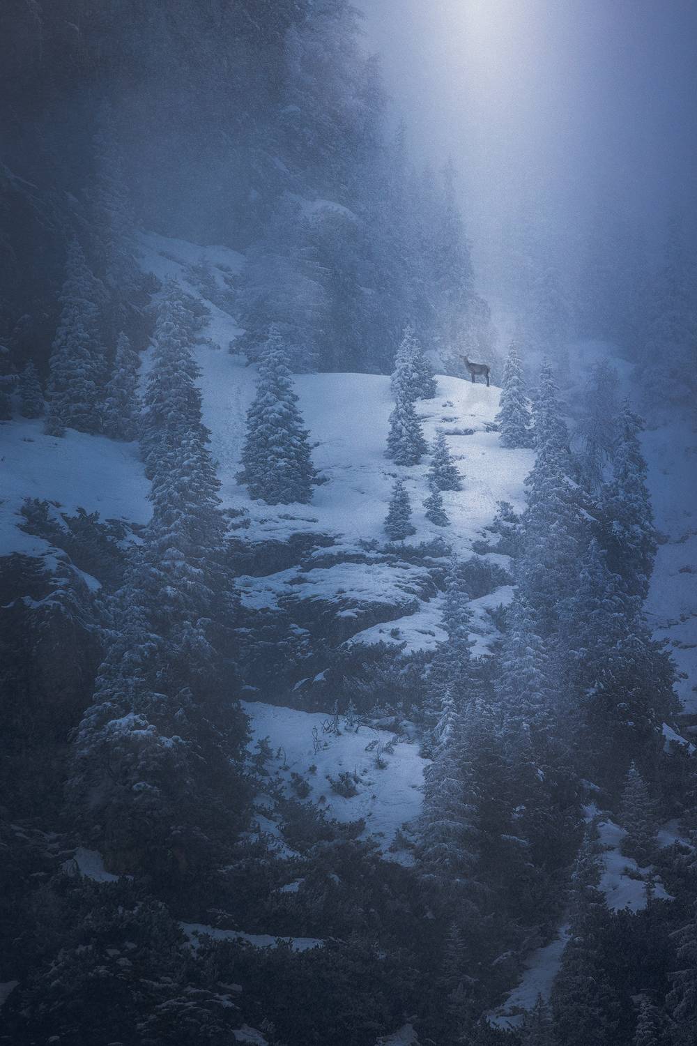 , Сергей Быков