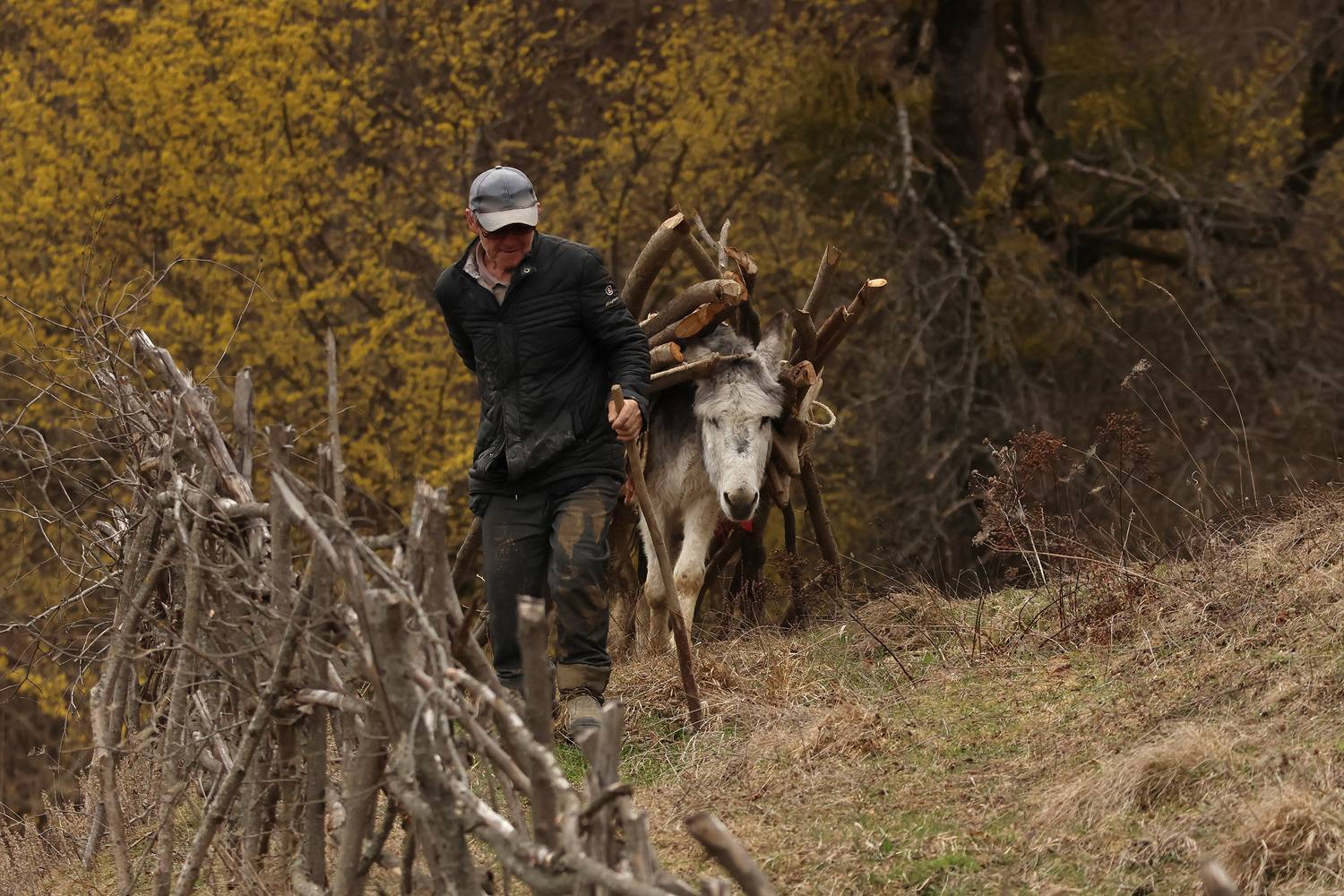 люди,животные,осёл,горы,извозчик,дагестан,будни,, Magov Marat