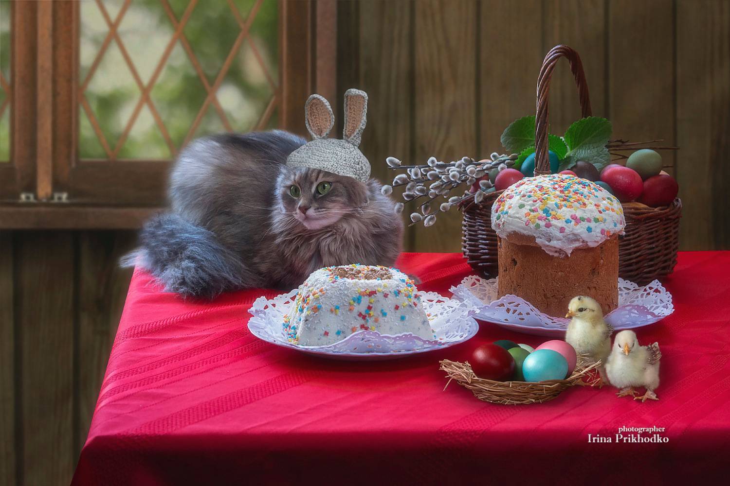 натюрморт, Пасха, цыплята, кошка, пасхальная открытка, Приходько Ирина