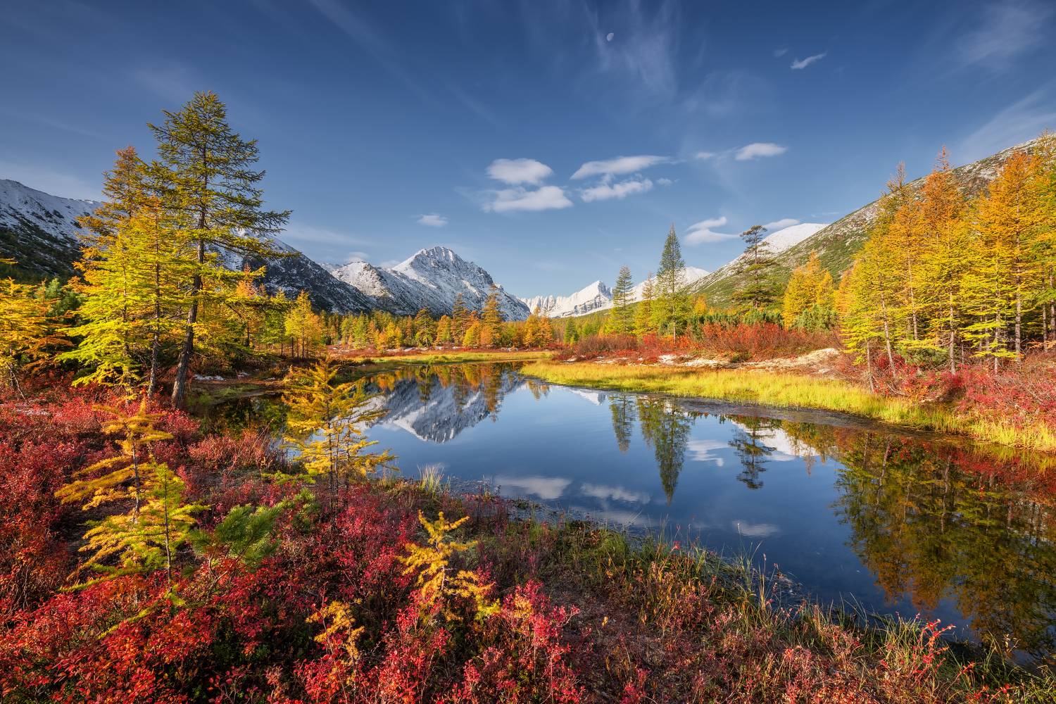 , Максим Евдокимов