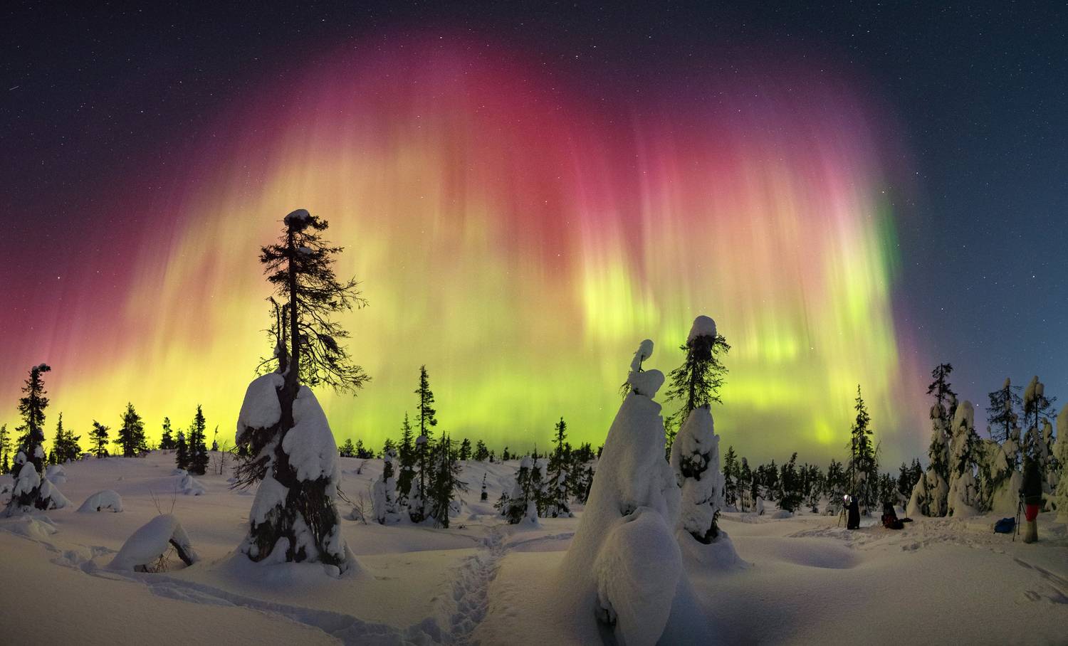 , Михаил Рева