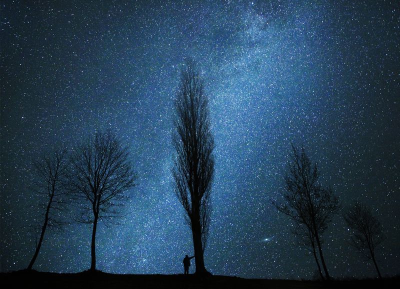 Stars, milkyway, trees, night, sky, selfie * фото превью