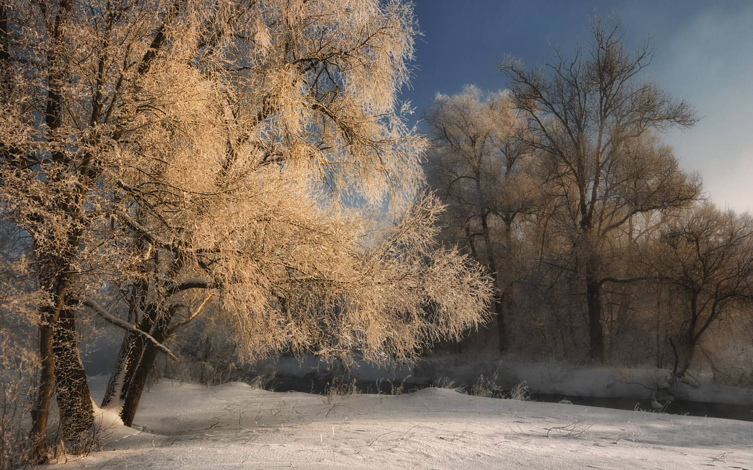 , Олег Дунаев