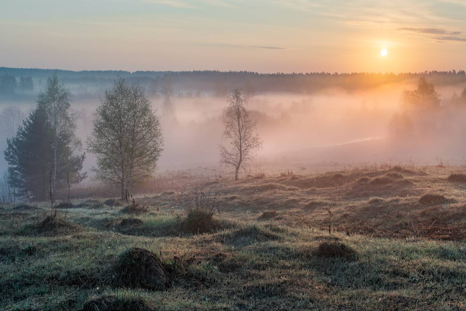 , Евгений Ерохин