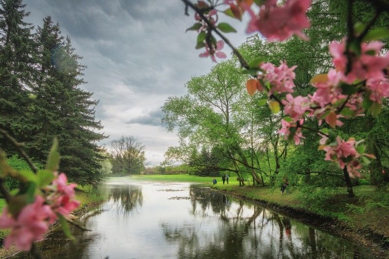 Дождливый день фото превью