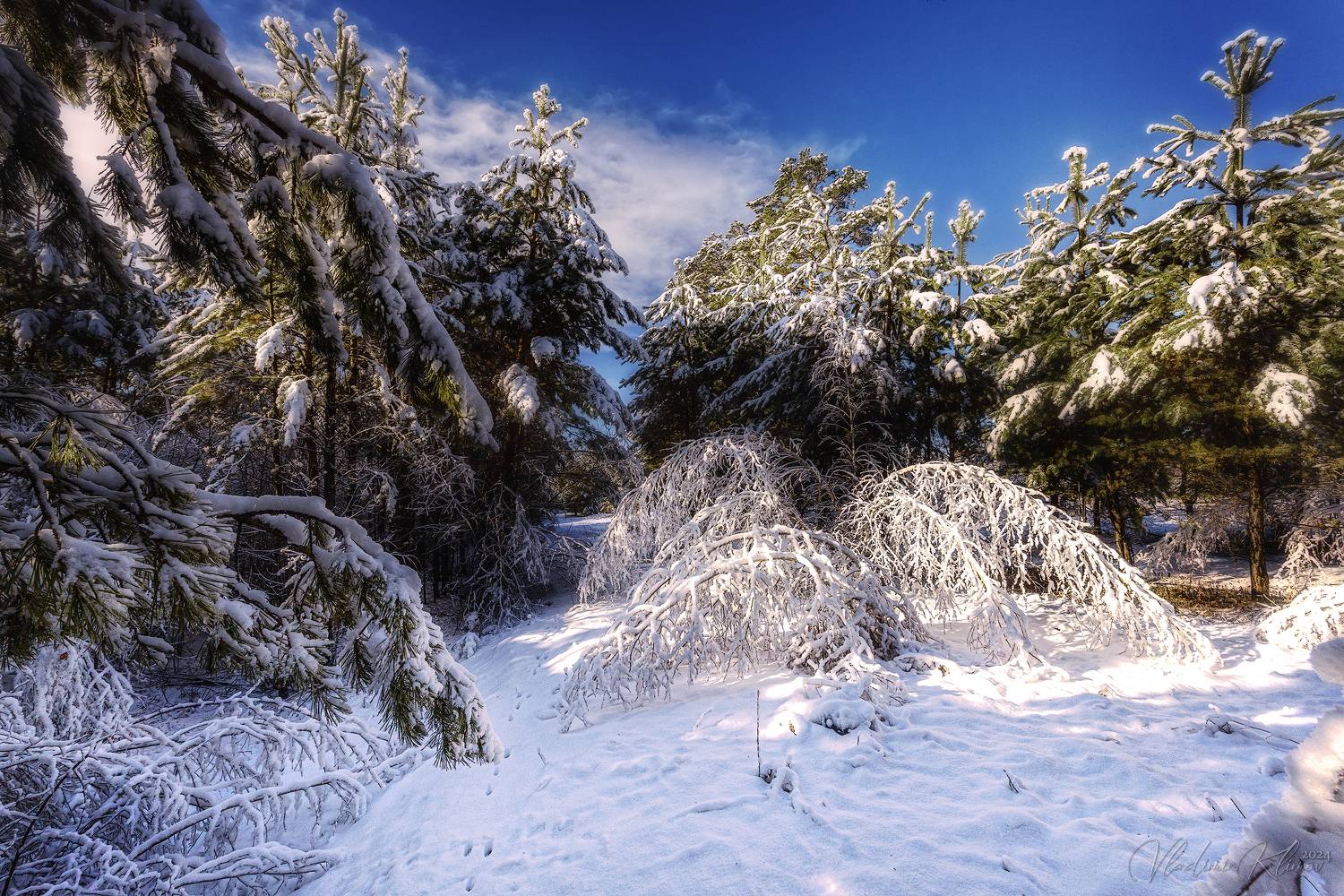 забайкалье, Владимир Климов