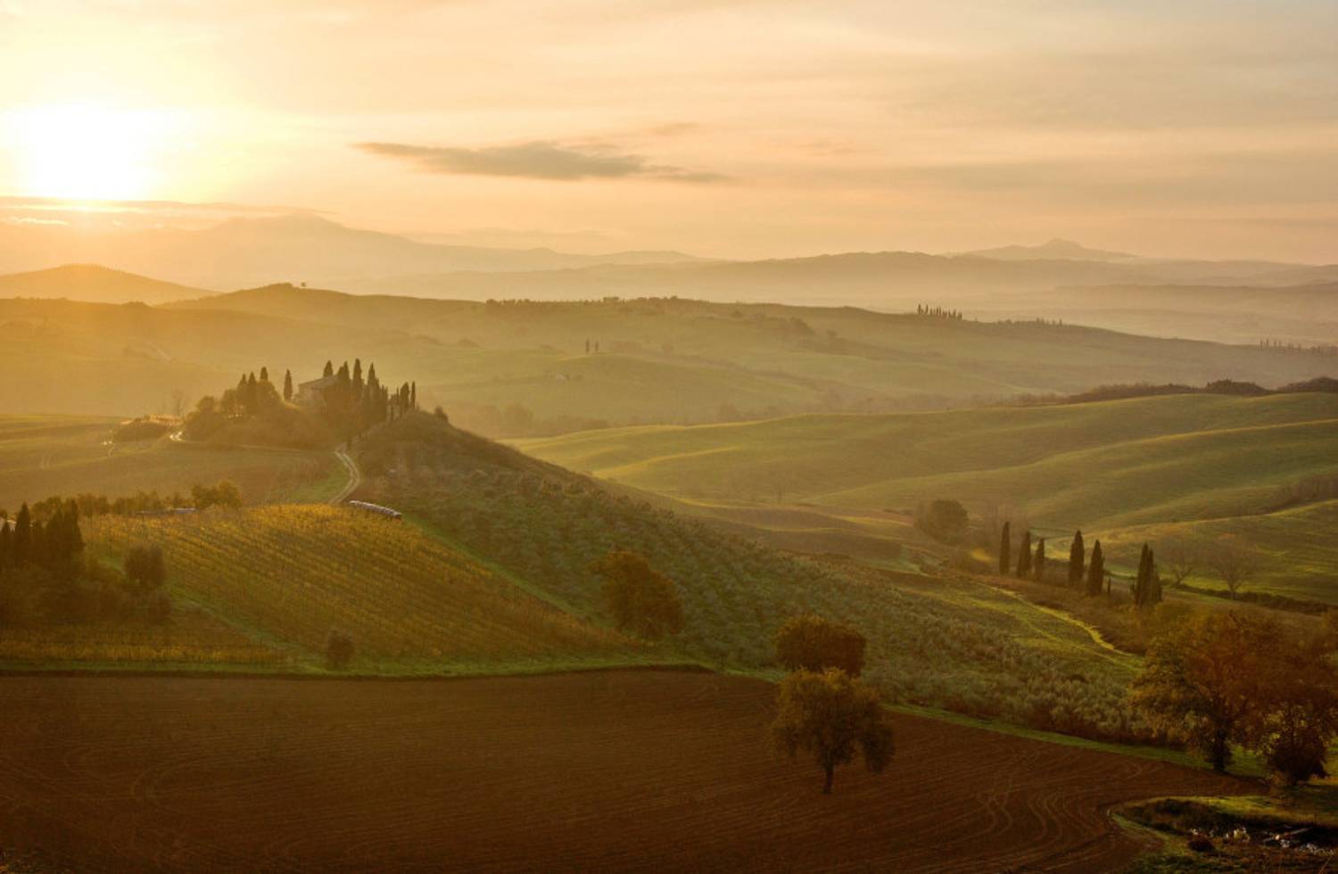 , Петр Косых