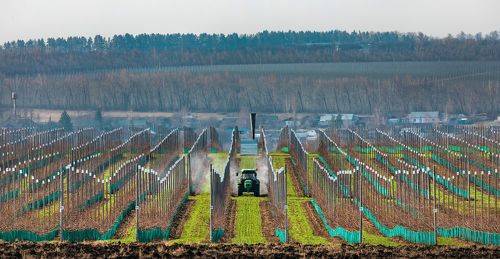 Пробуждение яблоневых садов