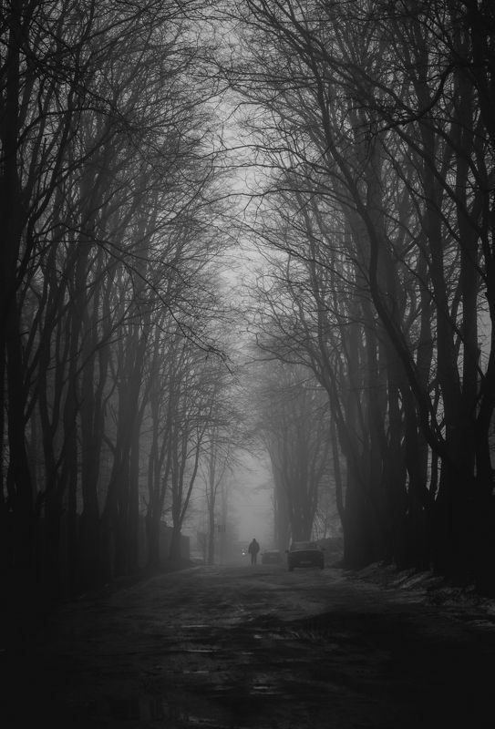 Утренний туман фото превью