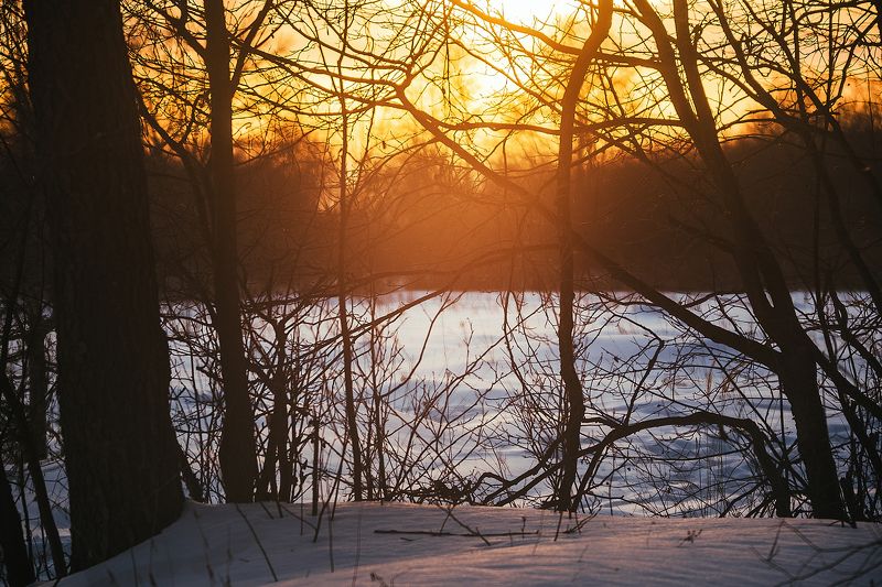 Мотылек фото превью