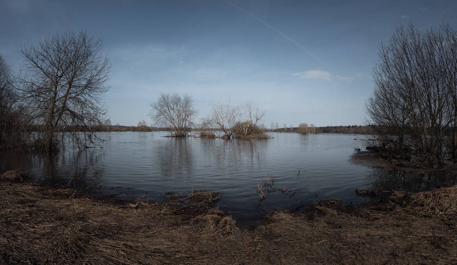 #пезаж #весна #туман #небо,  Ольга