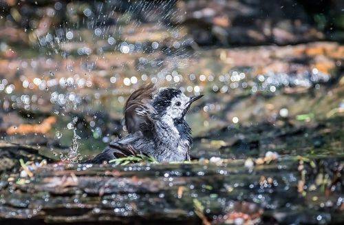 Наслаждение.