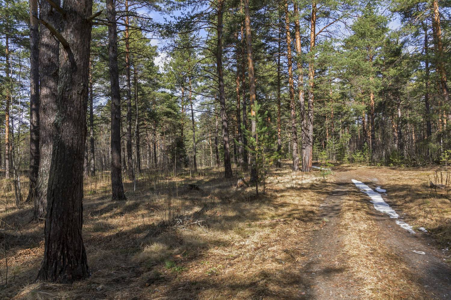 , Шитов Александр