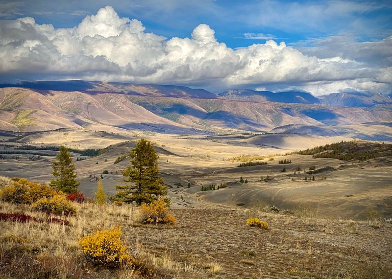 Алтайские зарисовки. фото превью