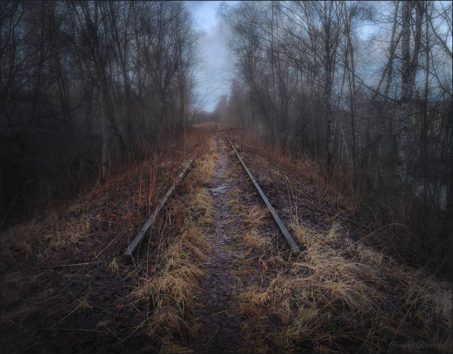 , Болеско Виктор