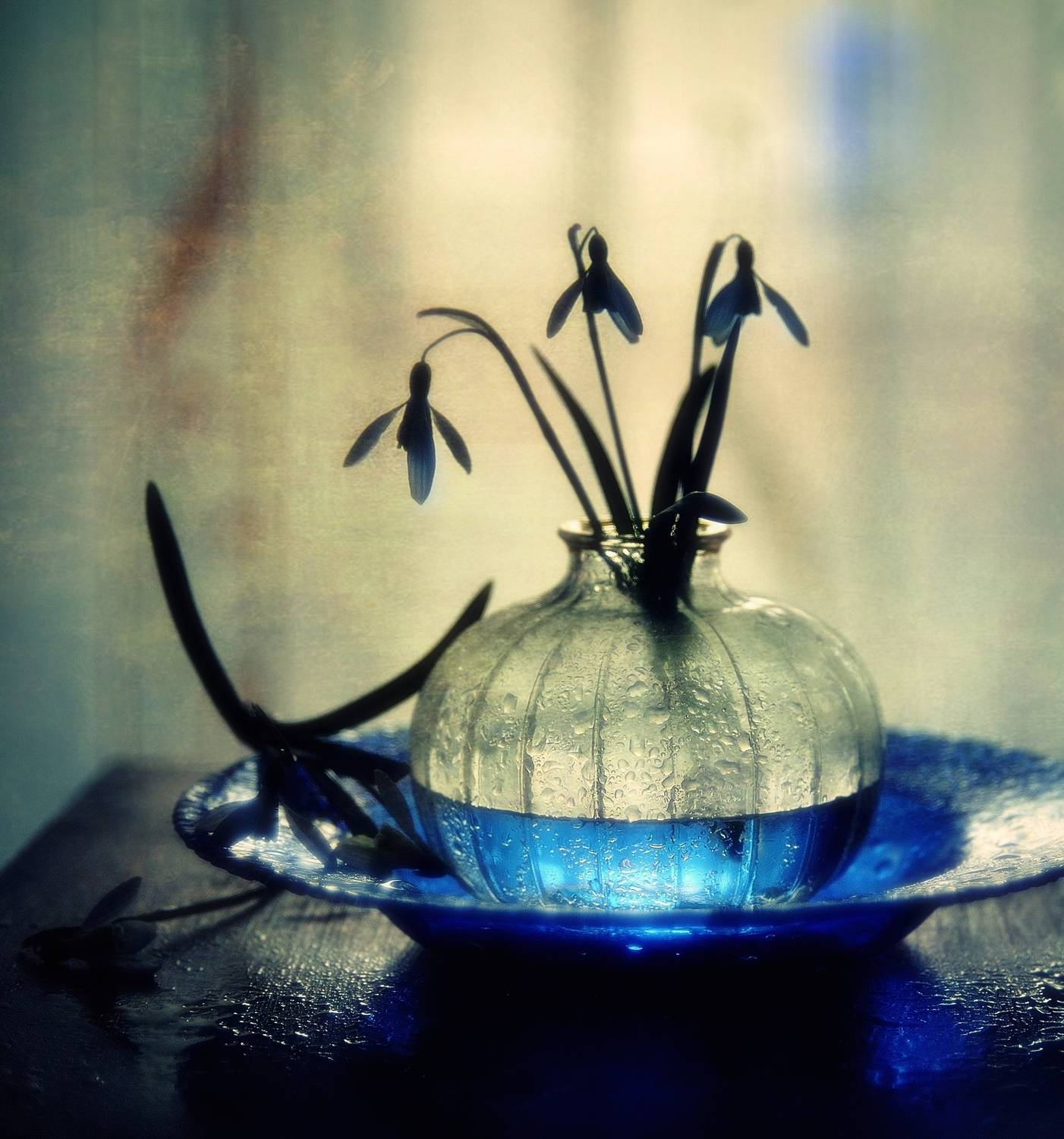 натюрморт,весна,подснежник, Наталия К