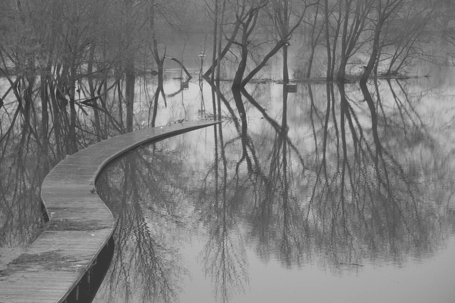 , Колосова Елена