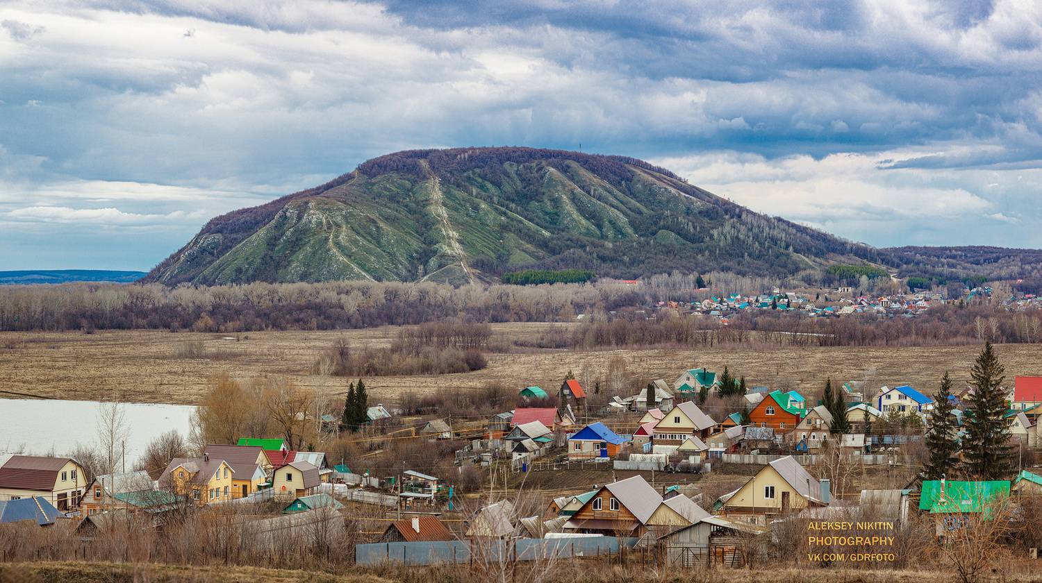 , Алексей Никитин