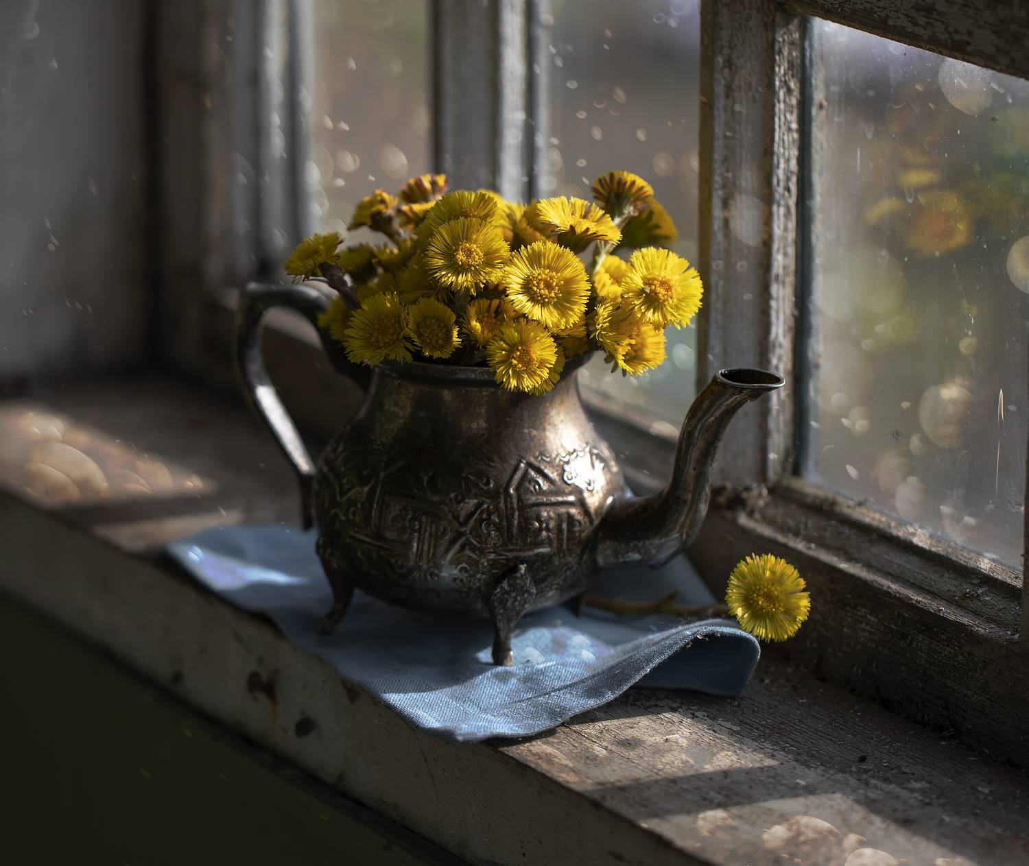 натюрморт, мать-и-мачеха, цветы, Феденкова Татьяна