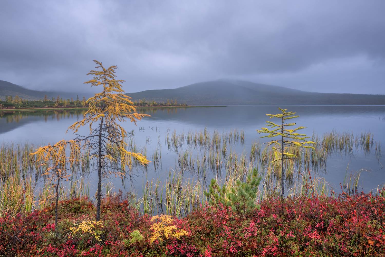 , Максим Евдокимов
