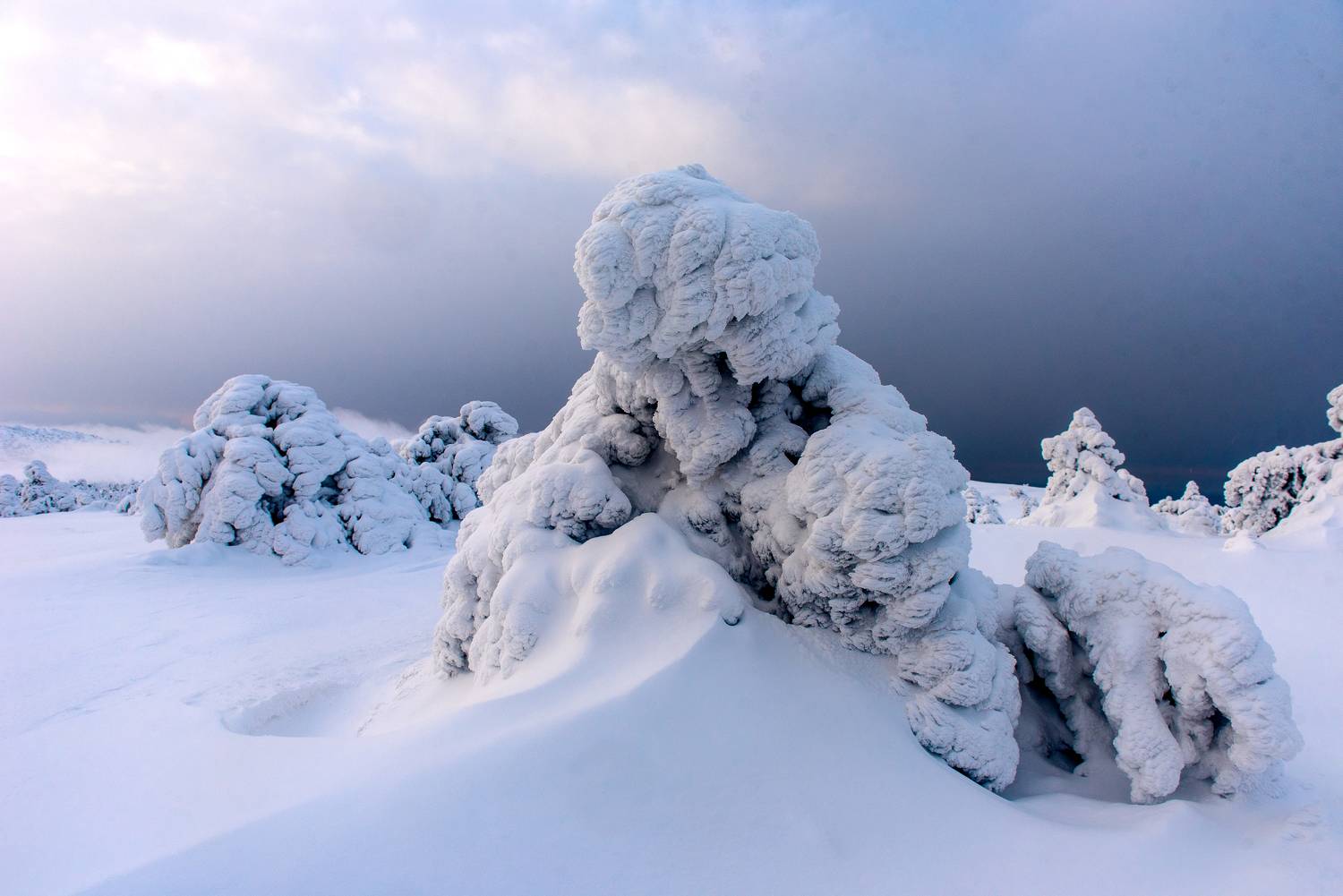 крым зима, Максим Ушаков