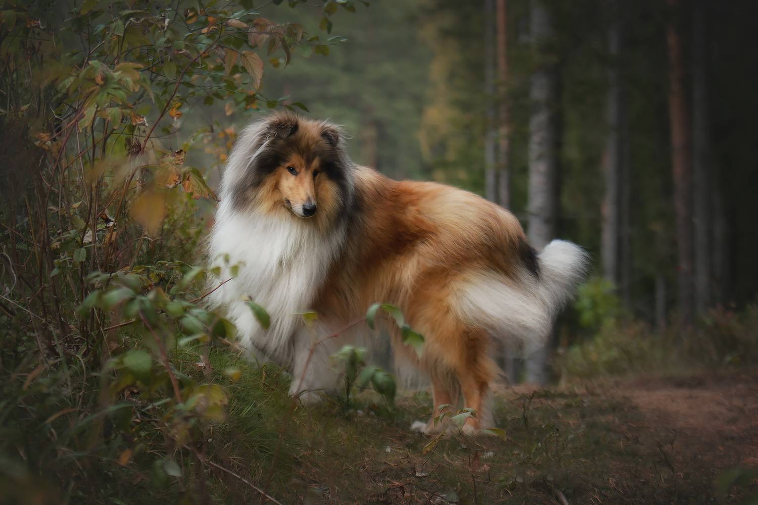 , Зубкова Юлия