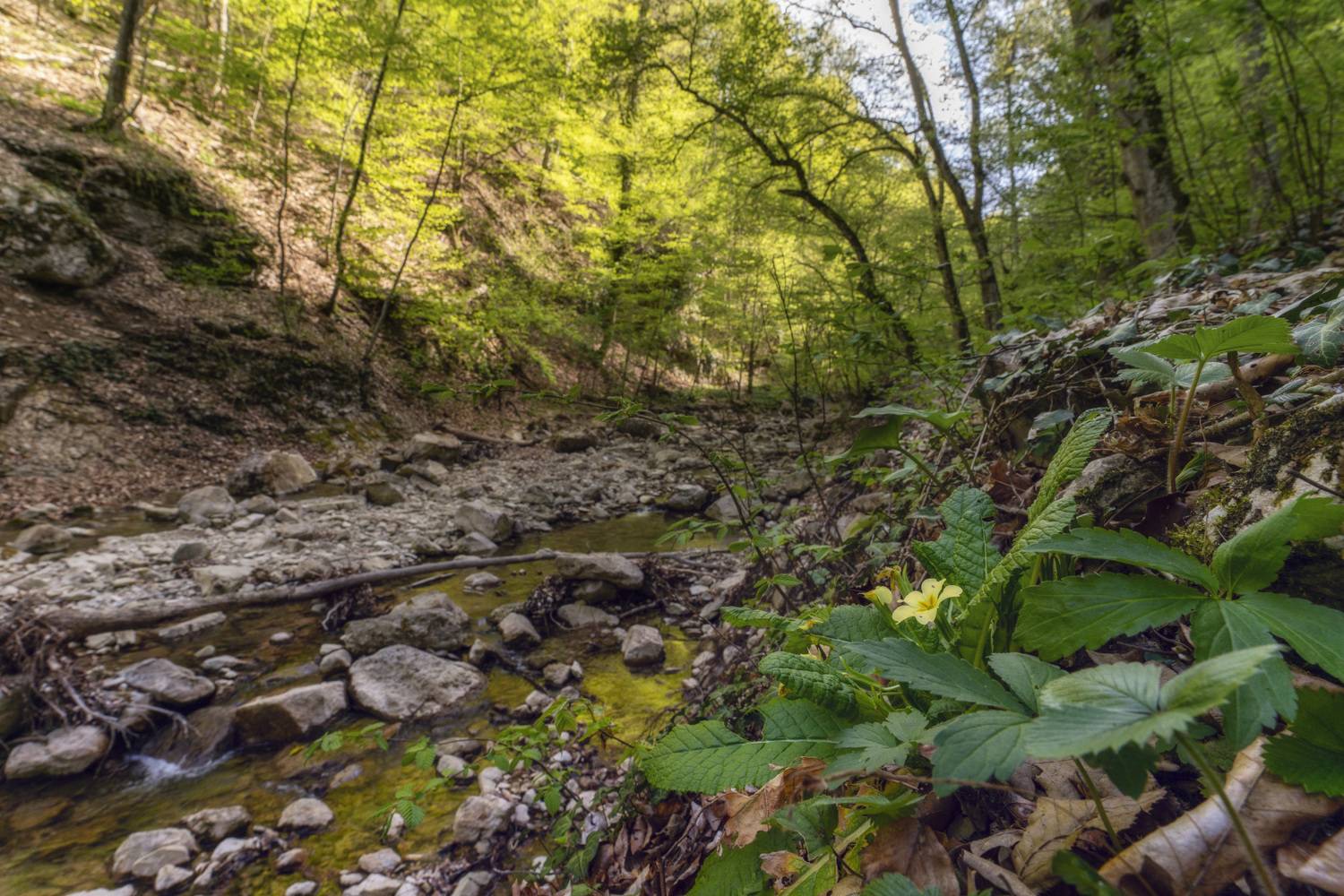 , Юлия Мальцева