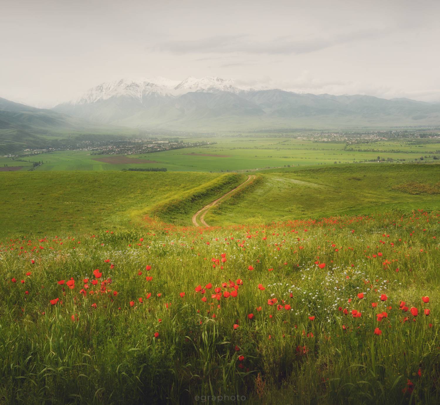 киргизия, кыргызстан, чуйская область, Рябенький Александр
