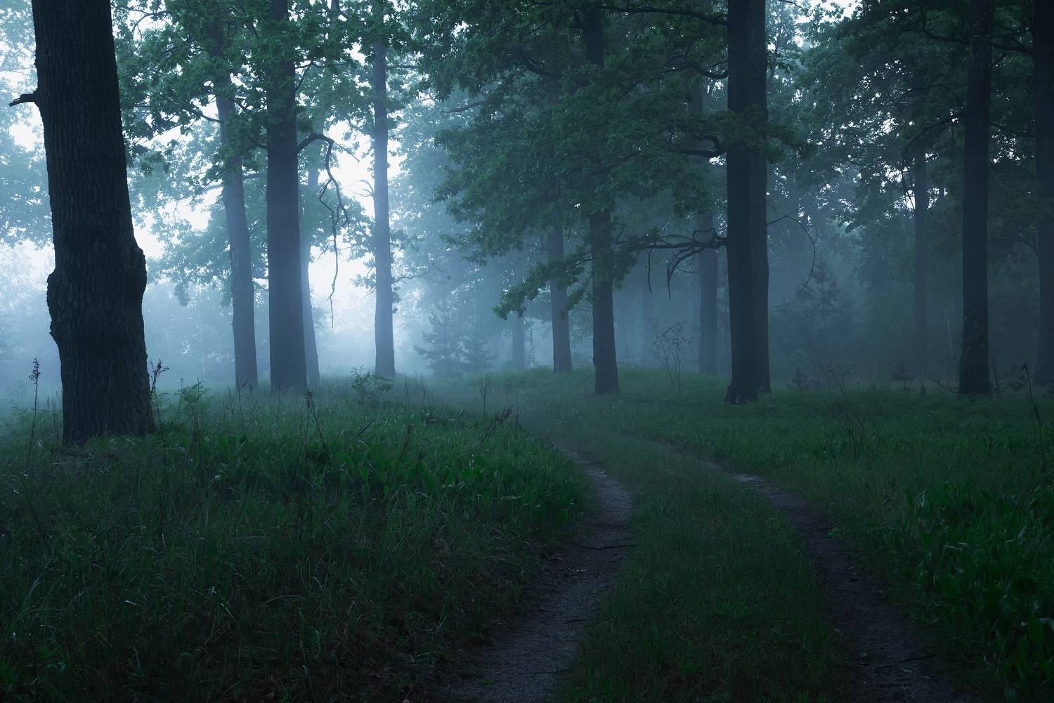 , Захаров Дмитрий