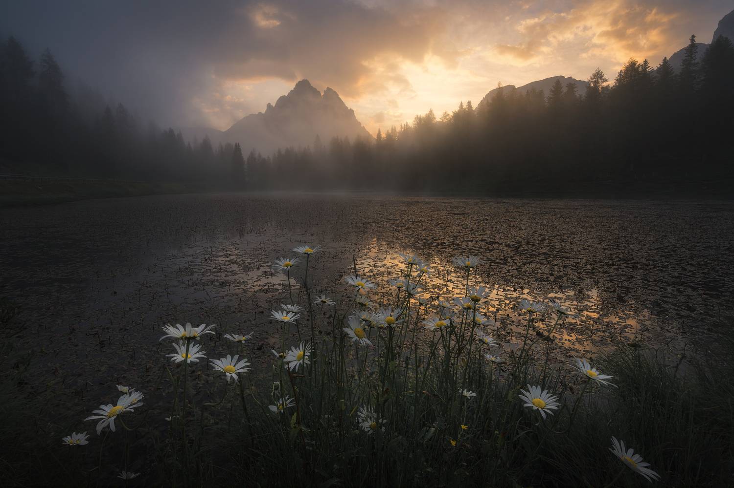 , Thomas de Franzoni