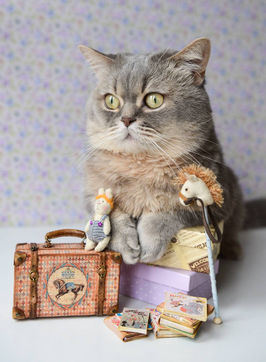 , Божена Пучко