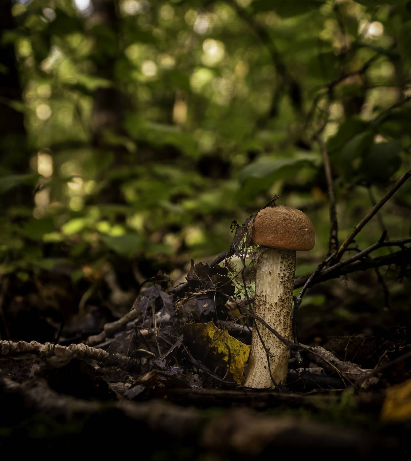 макро, Виктор Парщиков