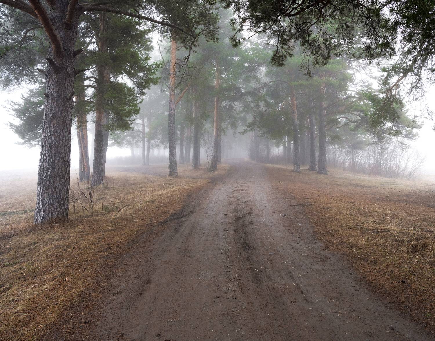 , Евгений Карепанов