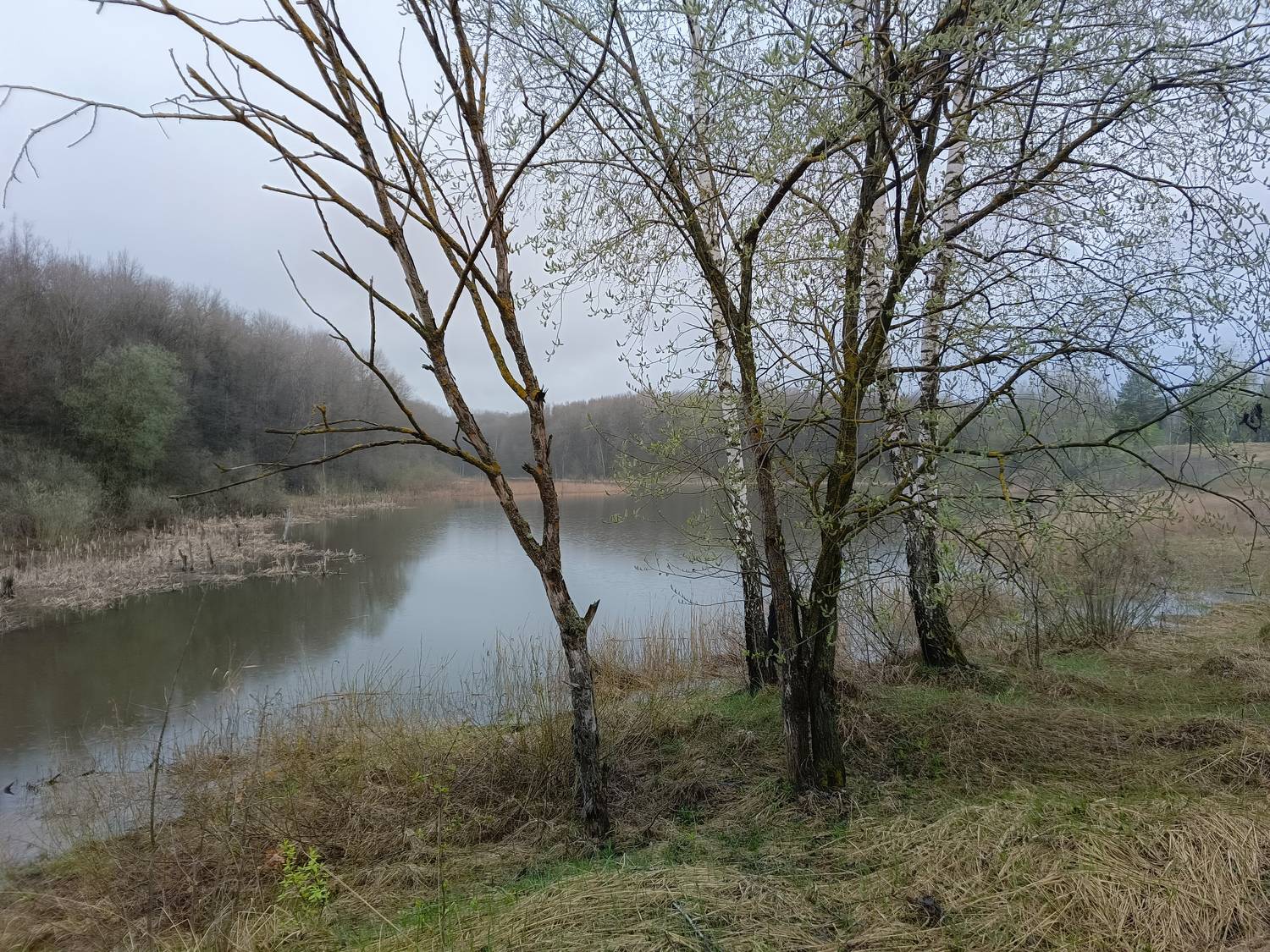 , Кондрашова Светлана