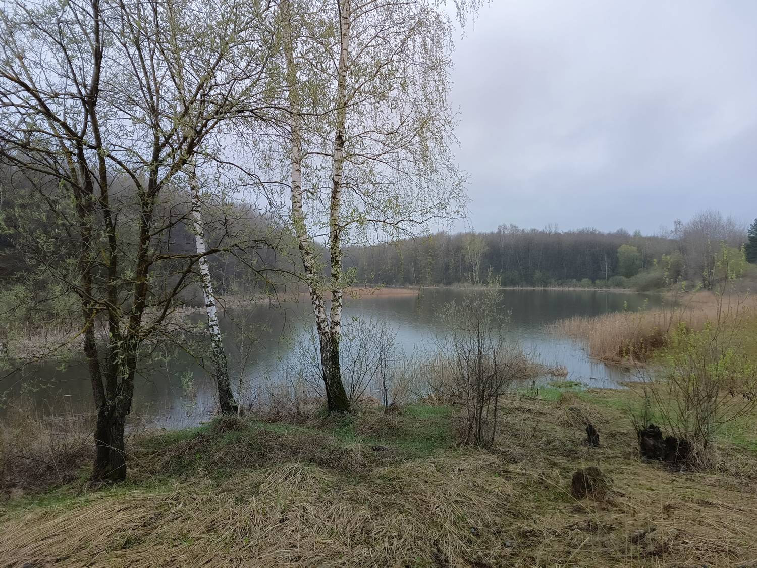 , Кондрашова Светлана