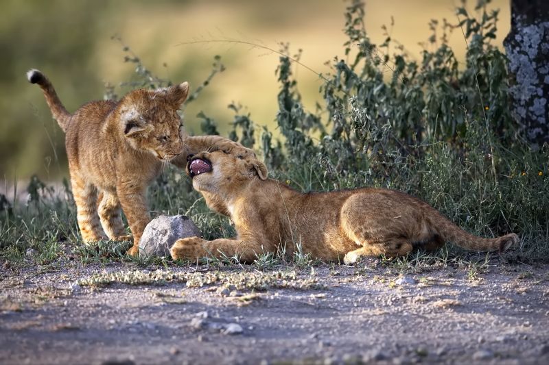Малышковые будни - 1 фото превью