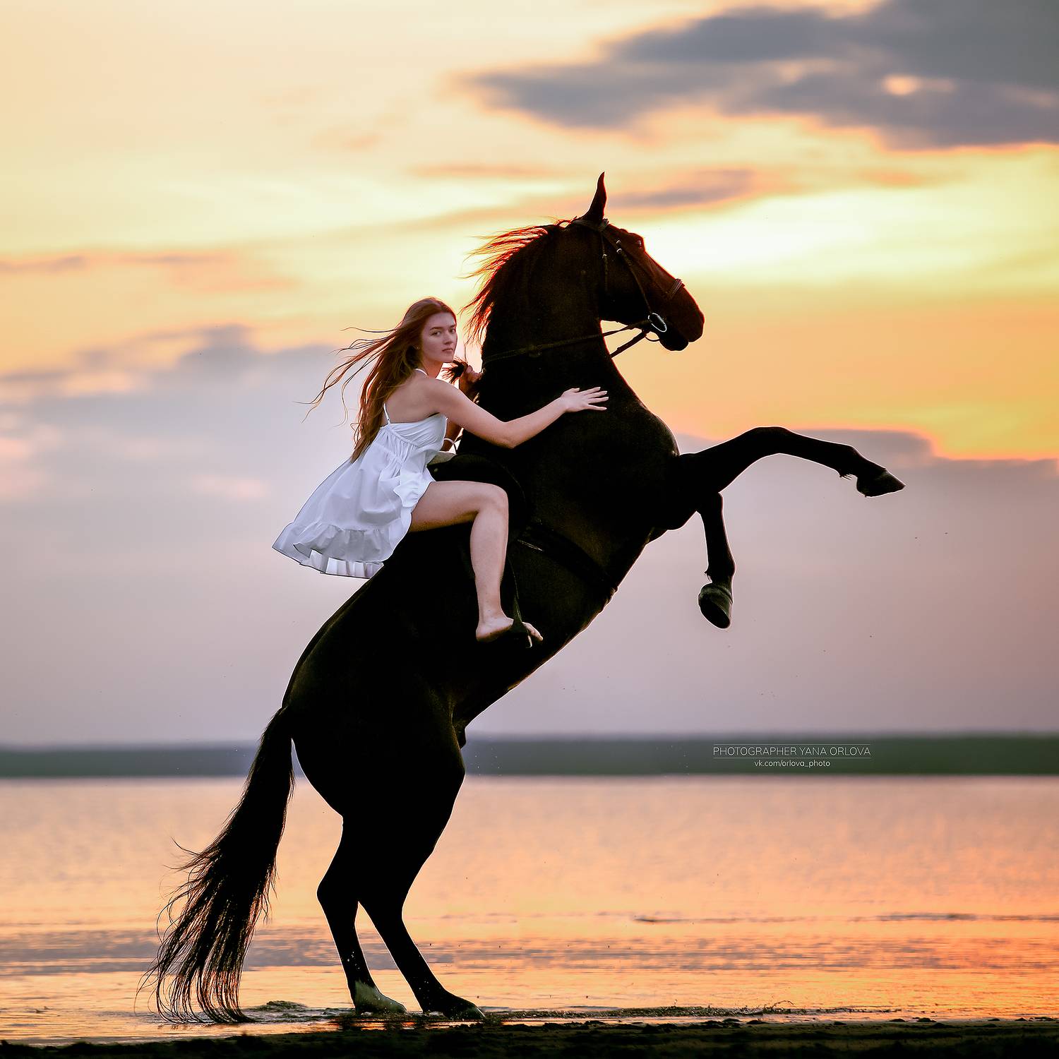 horse, horses, лошадь, конь, конныйфотограф, кэнон, canon, 7020028, лошади, фотографияслошадью,конный фотограф Яна Орлова, фотосессияслошадью, конныйпортрет, фотосессиислошадьми, коннаяфотография, pferd, horsephotographer, женский портрет, девушка , Яна Орлова