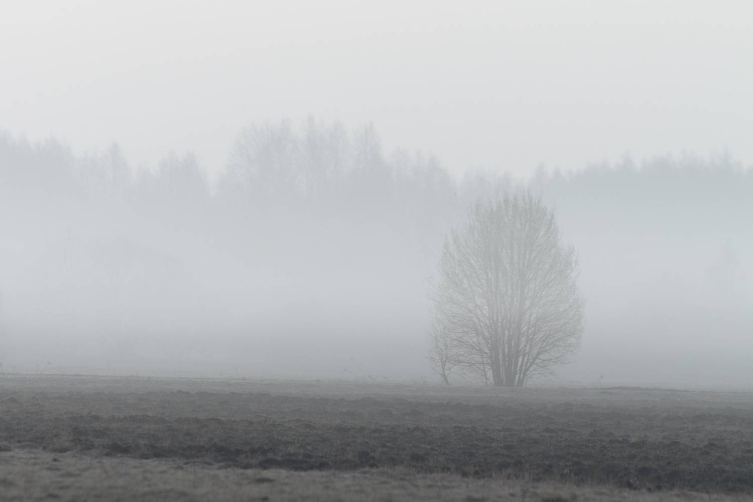 , Денис Пронин