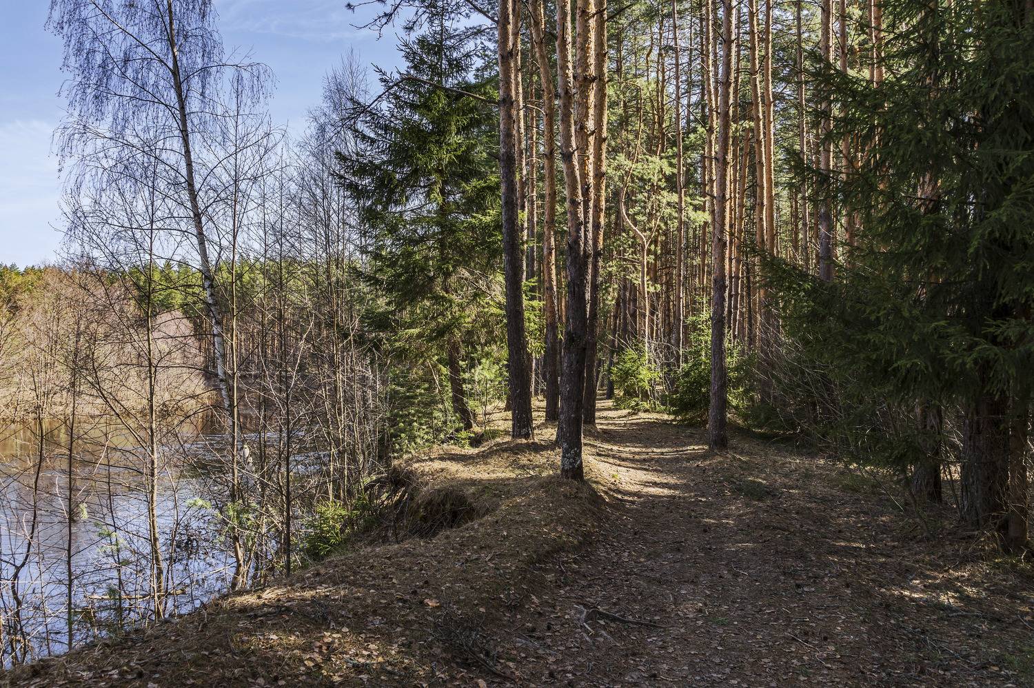 , Шитов Александр