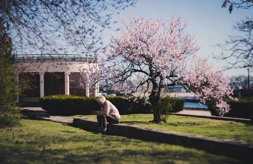 Весенние мотивы.