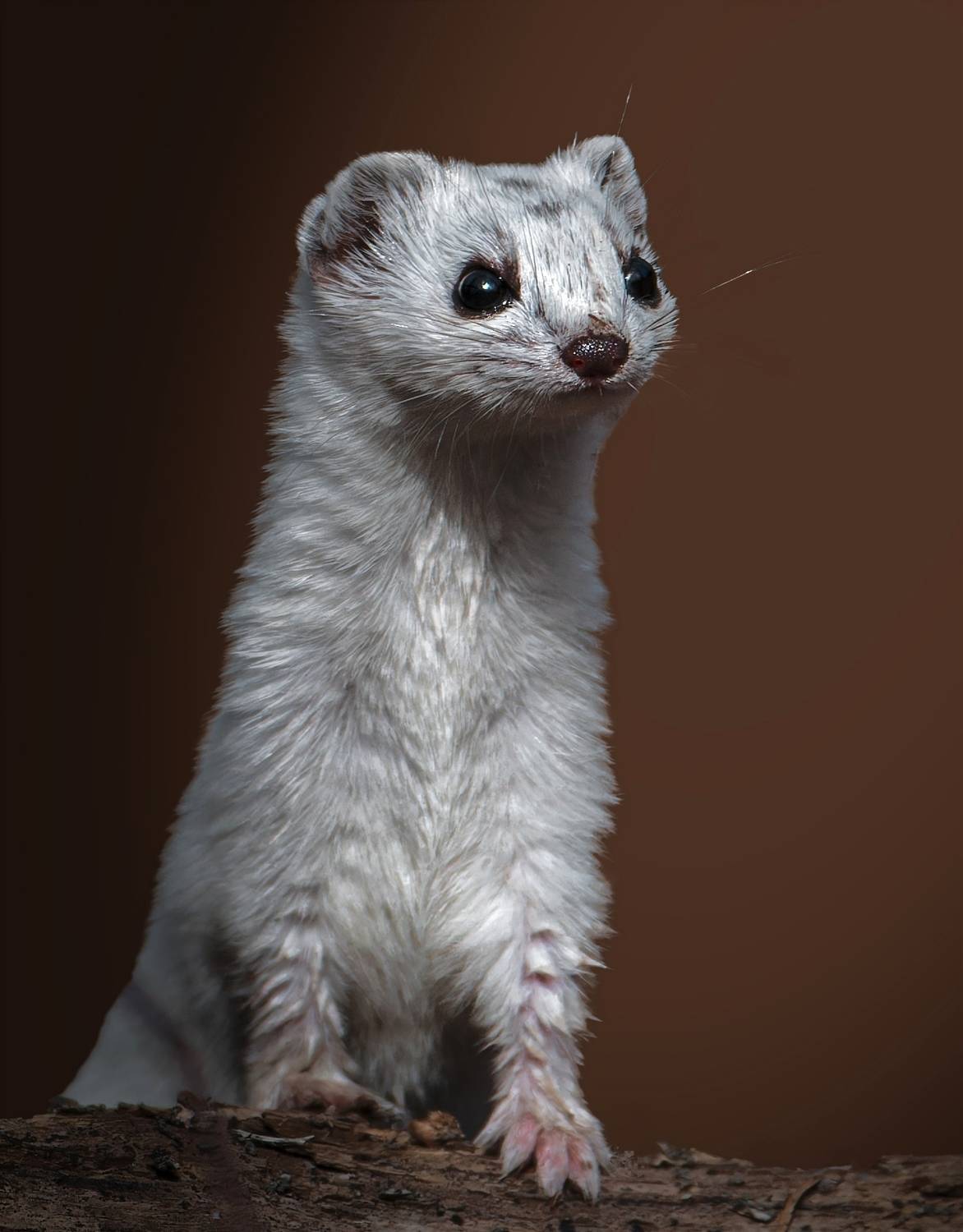 , Фото Александр