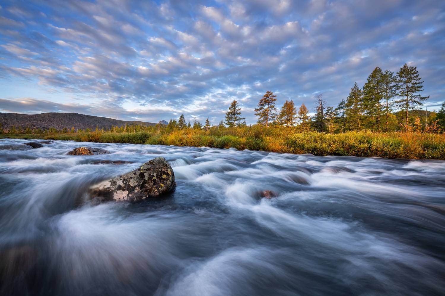 , Максим Евдокимов