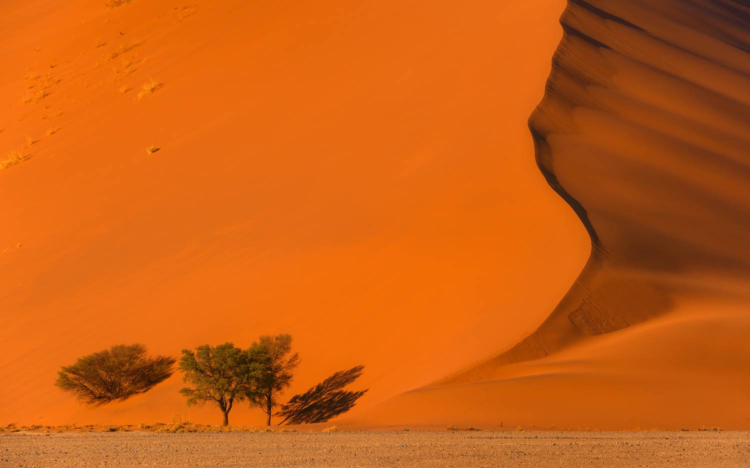 , Майк Рейфман