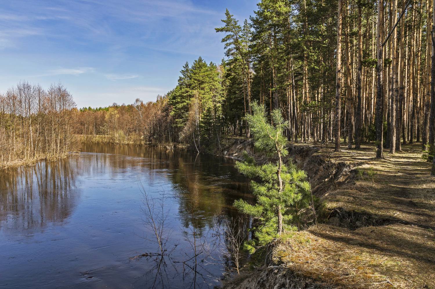 , Шитов Александр